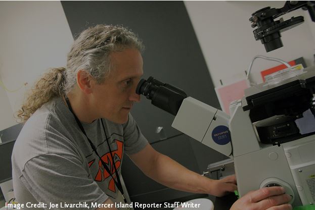 A man with gray curly hair looks into a microscope
