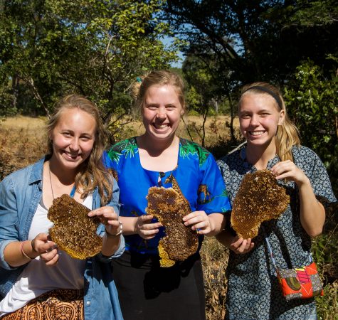 Three young women holding honeycombs smile for the camera outside.