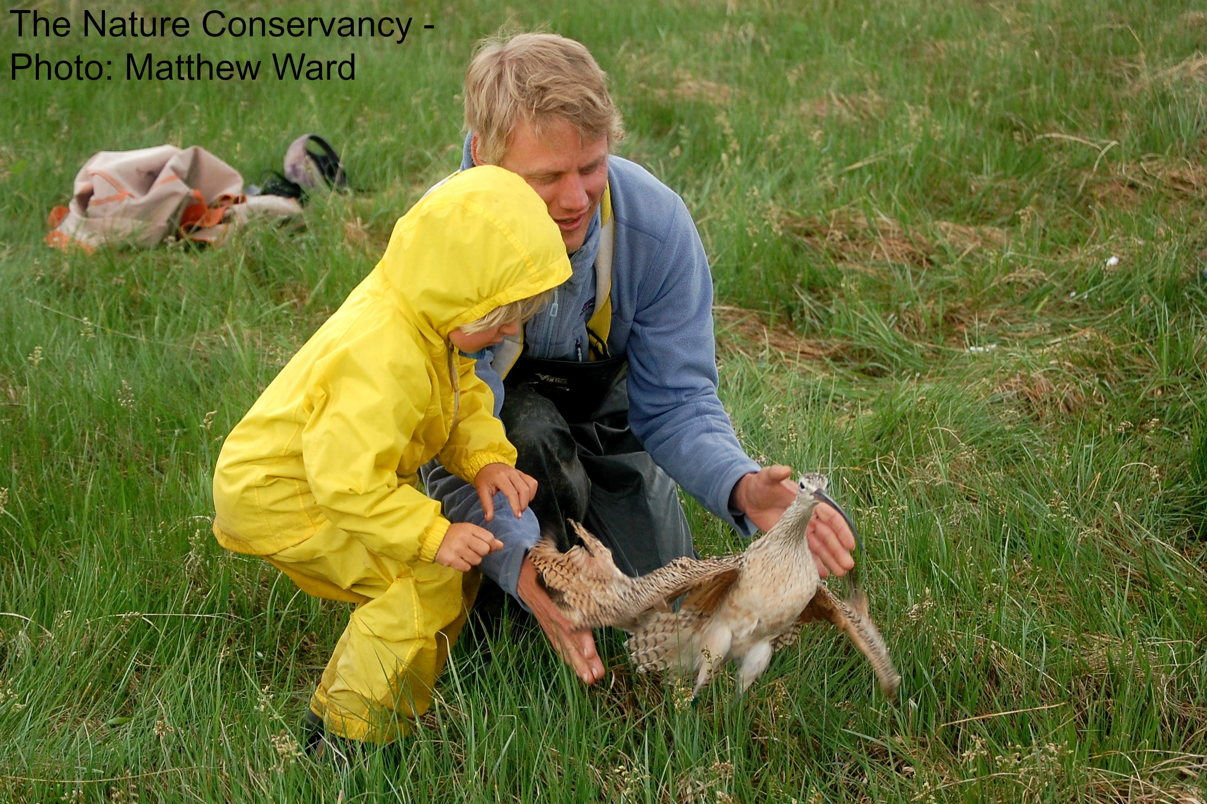 A child wearing a yellow raincoat and a man with blond hair kneel to pet a bird on green grass. Text overlay says "The Nature Conservancy - Photo: Matthew Ward."
