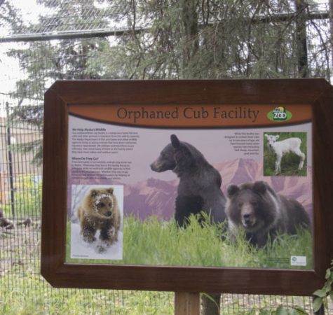 A sign with text that says "Orphaned Cub Facility" with images of bears and cubs underneath.