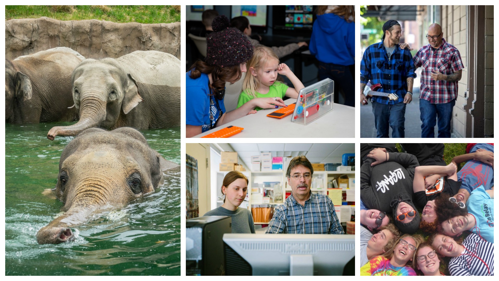 Image 1: three elephants swim in a pool with a stone wall in the background. Image 2: a young woman wearing a knit beanie helps a young child with a project at a white table. Image 3: a man with short dark hair, a gray mustache, and glasses wearing a blue plaid shirt looks at a computer next to a woman with straight brown hair wearing a gray sweater. Image 4: two men wearing plaid shirts and jeans walk down the street talking and laughing while of them holds an electric guitar. Image 5: a group of teenagers lay in a circle on the grass with their heads touching.  
