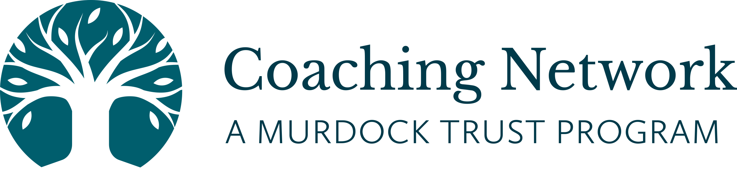 Coaching Network