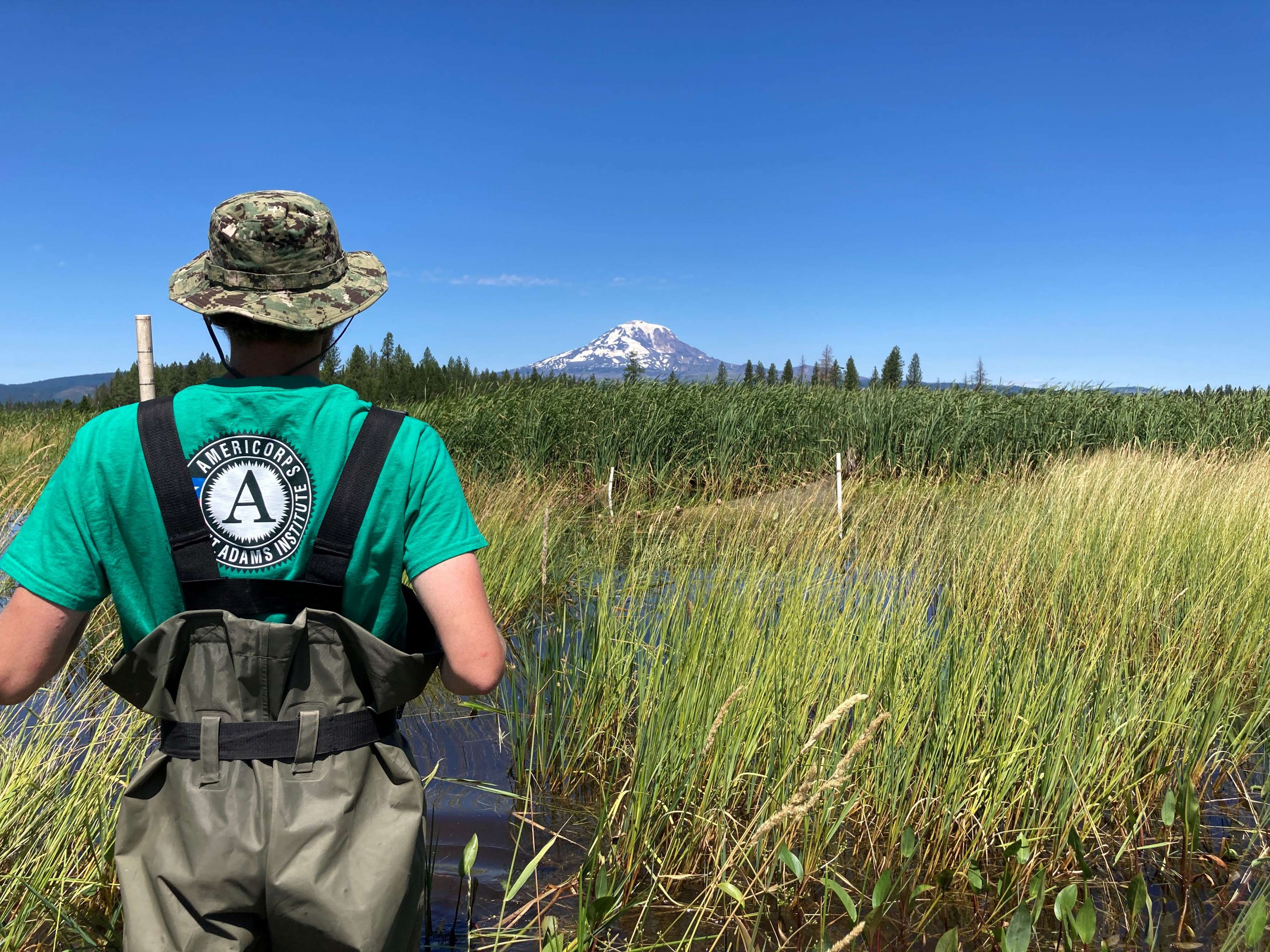 A shot from behind of a veteran looking at Mt. Adams in the distance. 