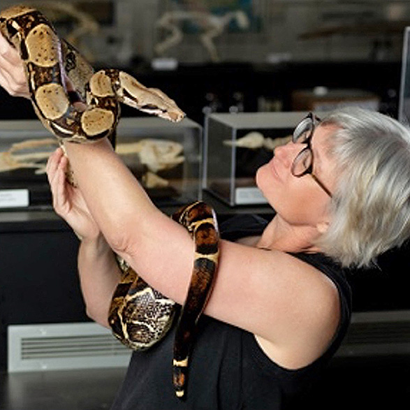 Dr. Kate Jackson, a woman with short blond hair wearing glasses and holding a snake in her arms. 