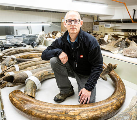Dr. Matthew Wooller from the University of Alaska Fairbanks, kneeling in his lab with woolly mammoth tusks around him
