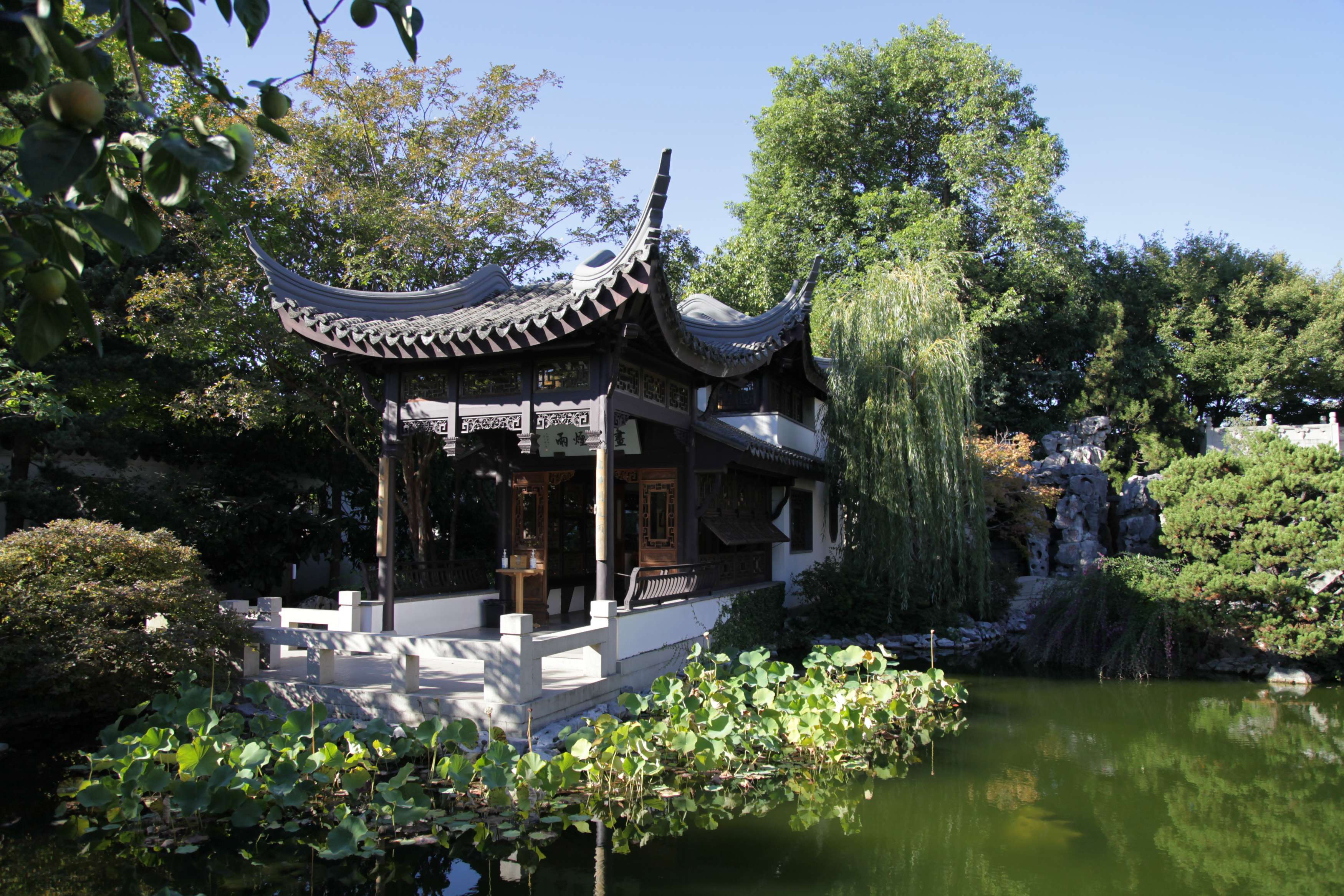 A pagoda in the middle of a traditional Chinese garden.