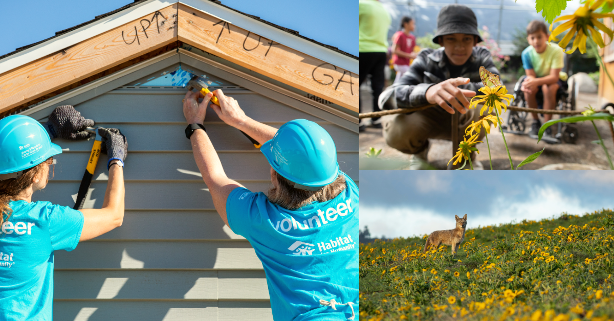 Left: Two volunteers working on a roof; Top Right: Young boy pointing at a butterfly on a flower; Bottom Right: Fox in a grassy field with flowers