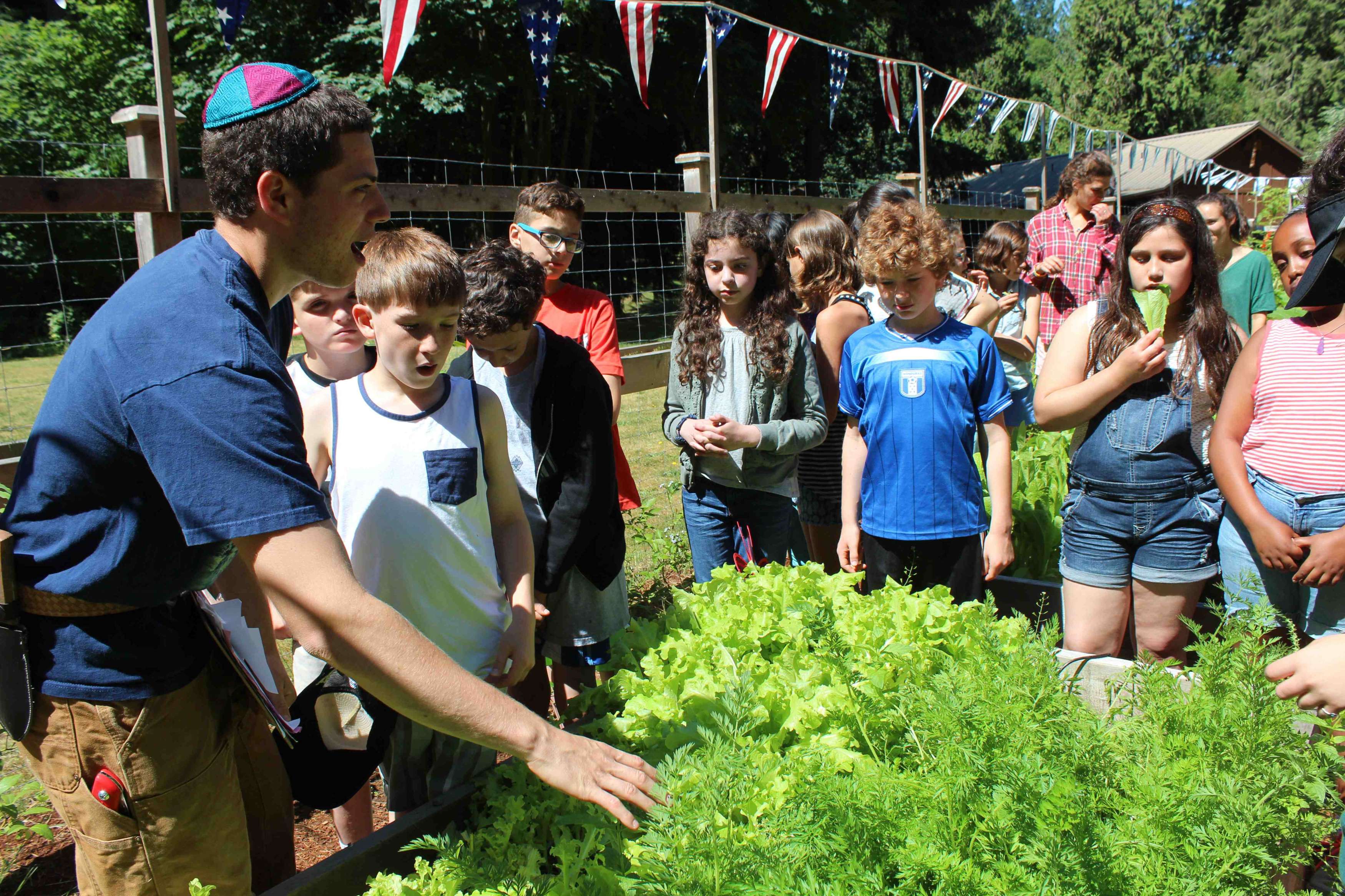Group of kids and camp leader around a bed of lettuce