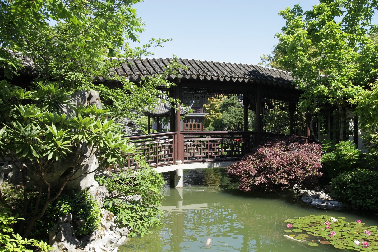 Footbridge surrounded by green foliage at the Chinese Garden