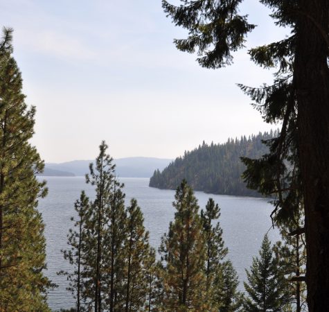 The banks of Lake Coeur d'Alene.