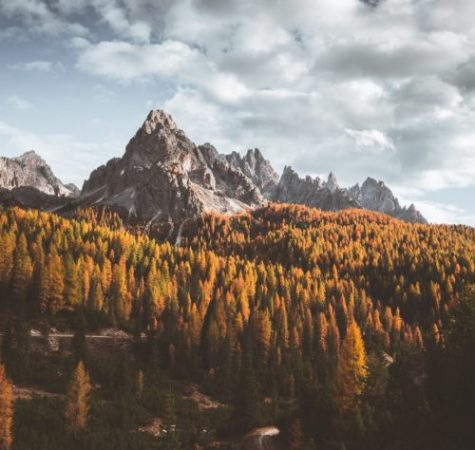 An outdoor shot of orange and yellow trees with a mountain peak and clouds behind them.