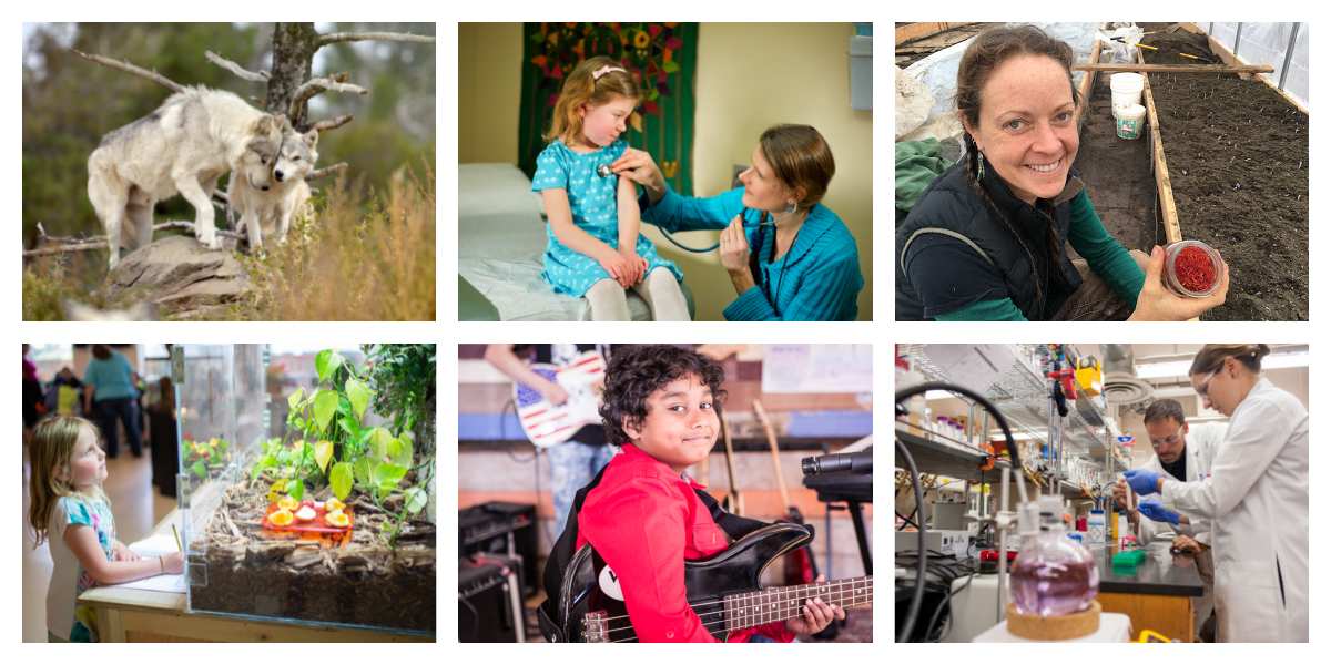 Image 1: two wolves rub heads. Image 2: a young girl takes notes while looking at plants. Image 3: a woman uses a stethoscope to listen to a young girl's heart. Image 4: a young boy in a red shirt holds a guitar and smiles for the camera. Image 5: a woman holds a jar of worms next to a garden bed. Image 6: a man and a woman in white lab coats work in a lab.