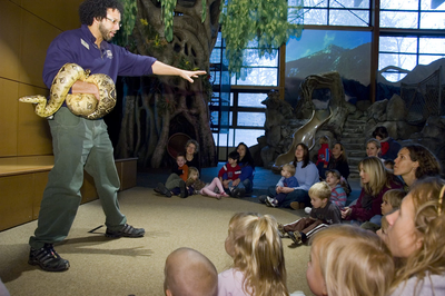 Person with a big snake on their arm, speaking to a crowd of seated families at Woodland Park Zoo