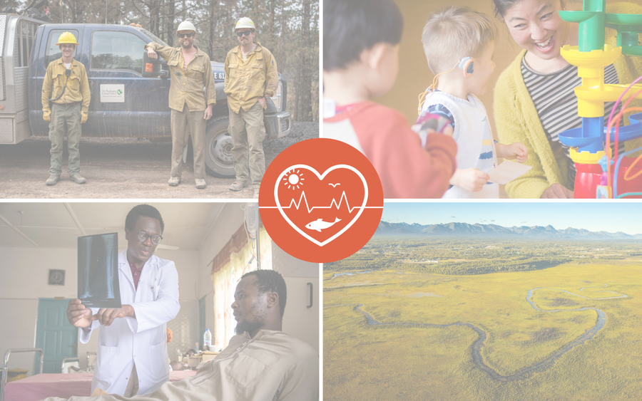 Collage of four images depicting healthcare and environmental stewardship with the Health & Environmental Stewardship icon in the center