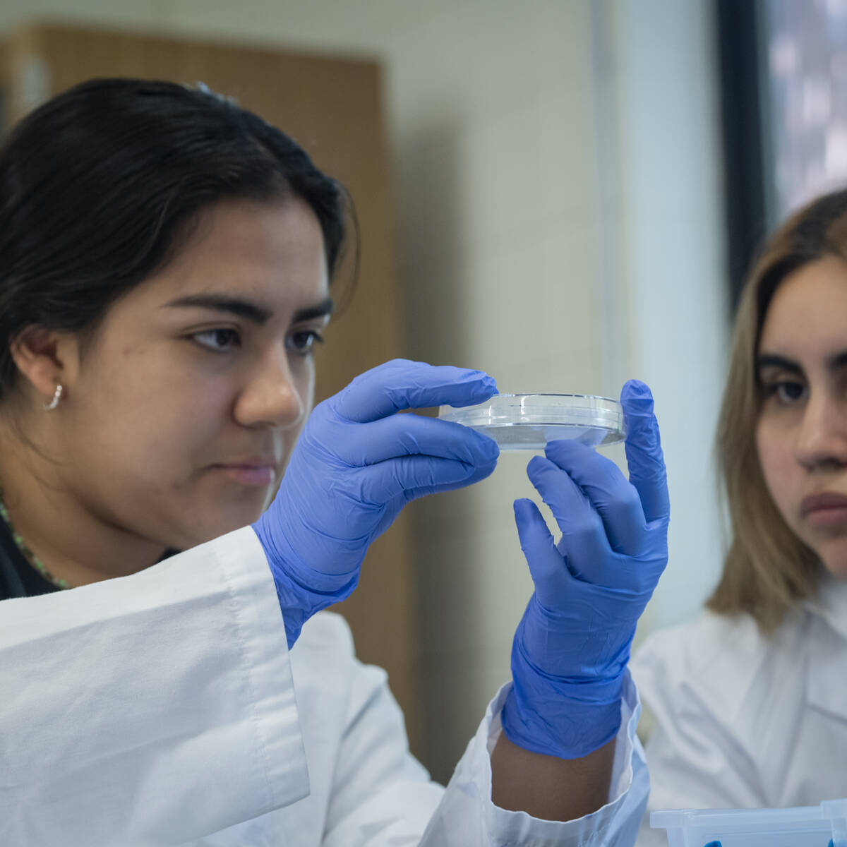 Two university students conducting scientific research and wearing white lab coats and rubber gloves
